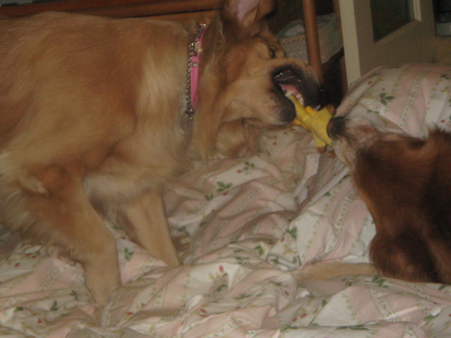 ファイル 424-2.jpg