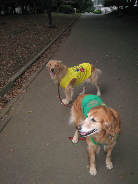 ファイル 424-3.jpg