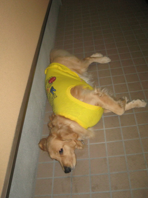 ファイル 424-5.jpg