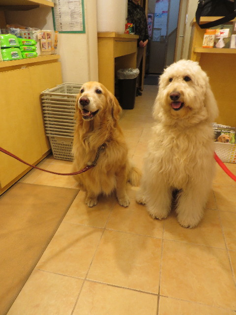 ファイル 4242-1.jpg