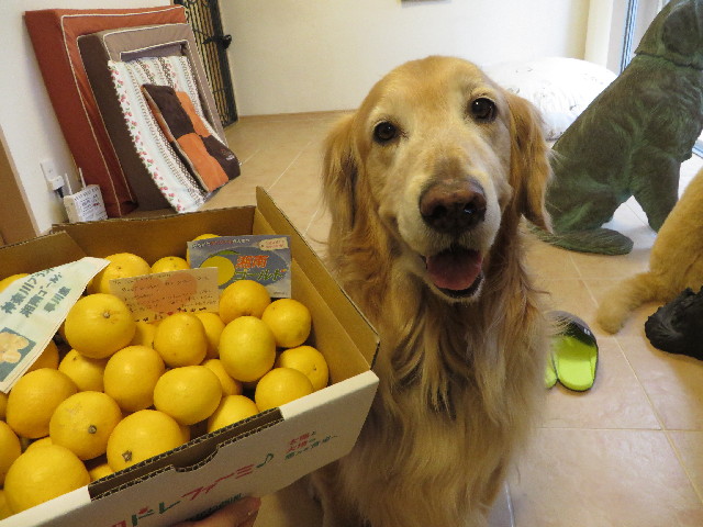 ファイル 4242-3.jpg