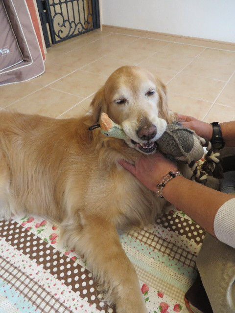 ファイル 4243-2.jpg