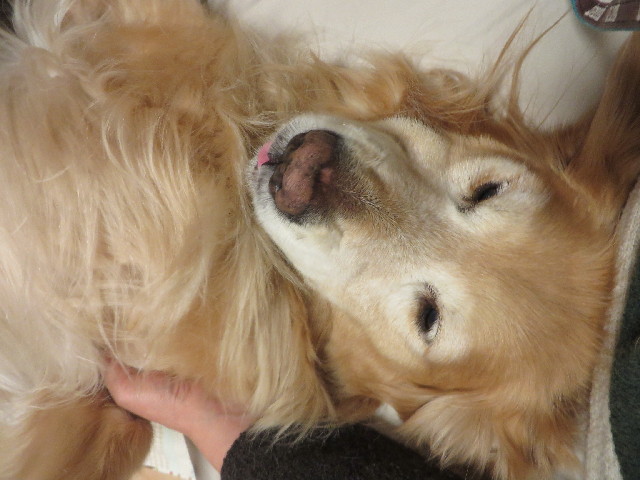 ファイル 4243-5.jpg