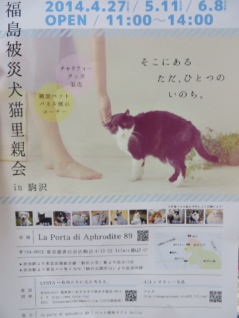 ファイル 4245-1.jpg