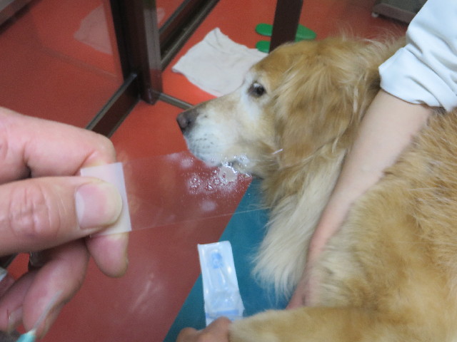 ファイル 4246-3.jpg