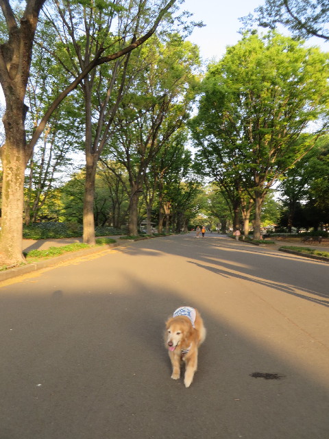 ファイル 4248-3.jpg