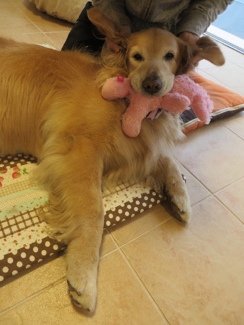 ファイル 4256-2.jpg