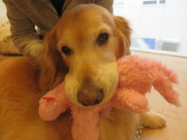 ファイル 4256-3.jpg