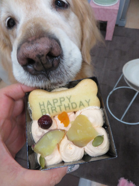 ファイル 4256-4.jpg