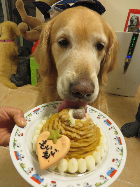 ファイル 4256-5.jpg