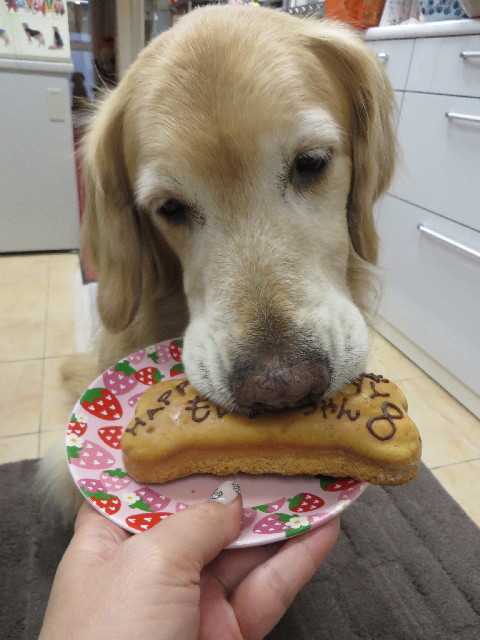 ファイル 4259-2.jpg