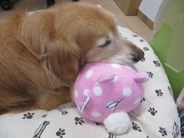 ファイル 4259-3.jpg