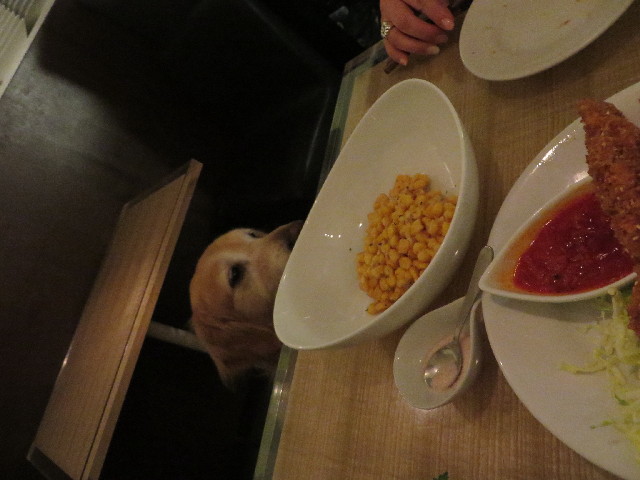 ファイル 4259-4.jpg