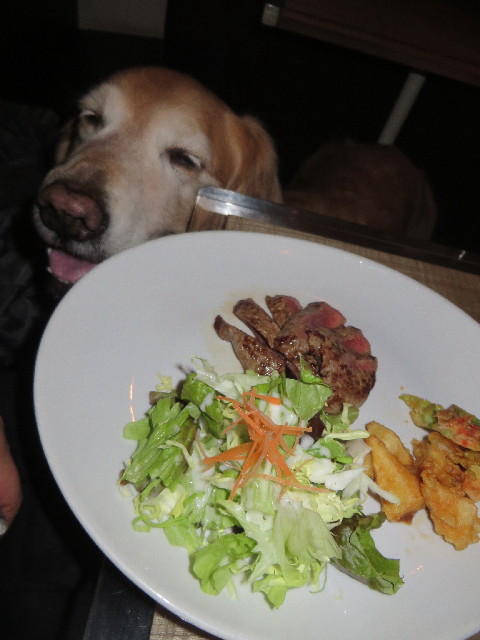 ファイル 4259-5.jpg