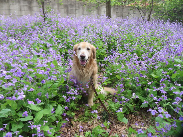 ファイル 4260-5.jpg