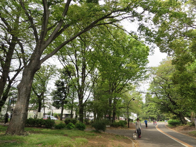 ファイル 4261-5.jpg