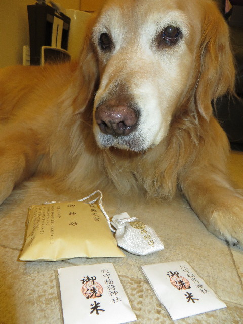 ファイル 4264-2.jpg