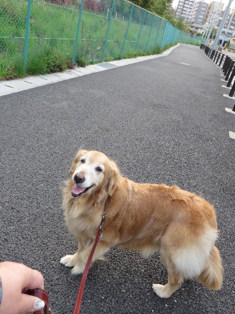 ファイル 4265-5.jpg