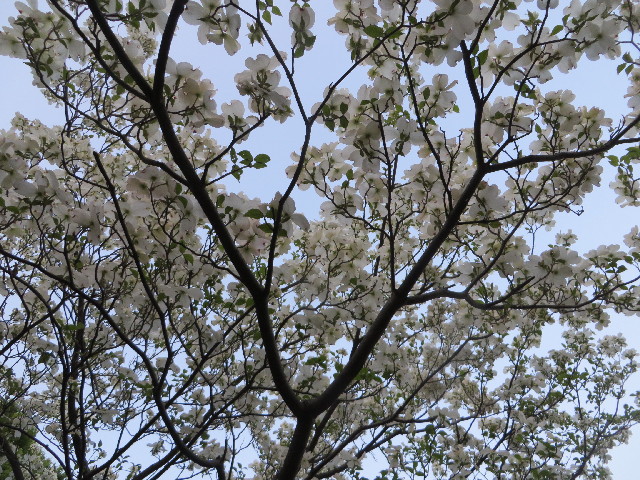 ファイル 4266-3.jpg