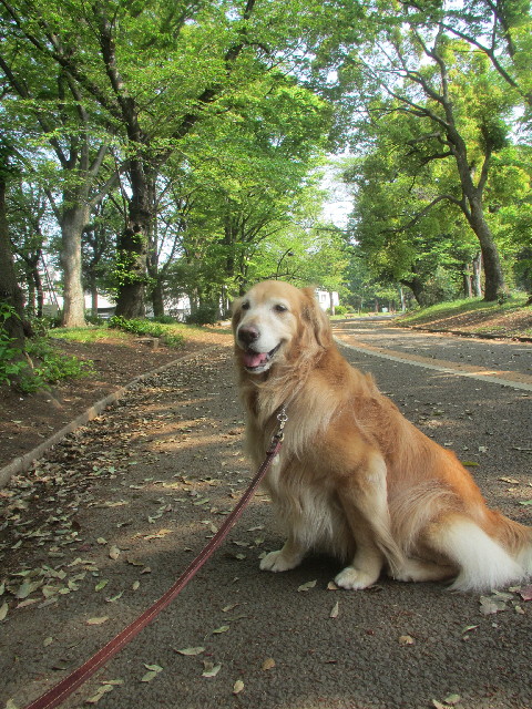 ファイル 4267-3.jpg