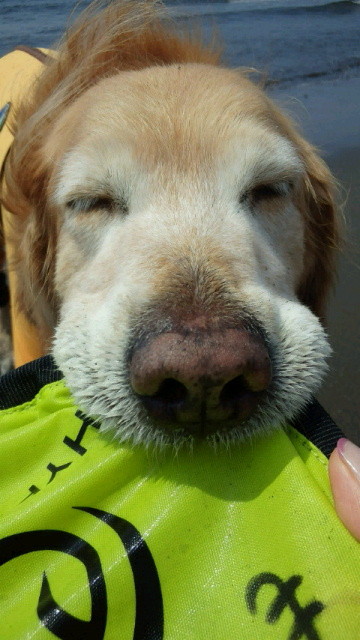 ファイル 4268-1.jpg