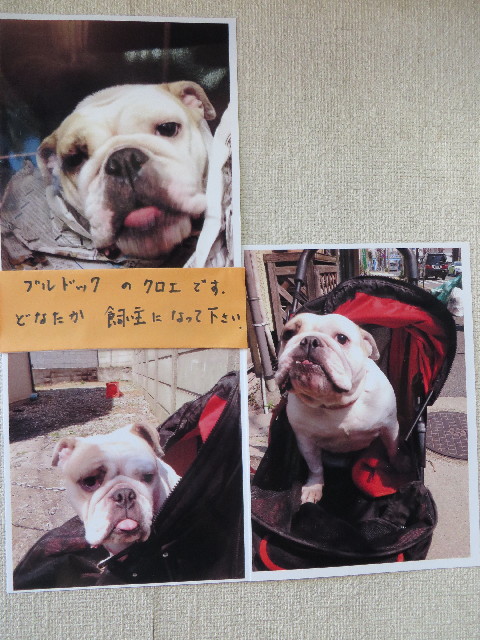 ファイル 4268-5.jpg