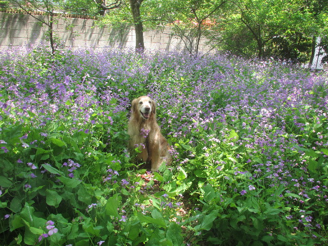 ファイル 4269-2.jpg