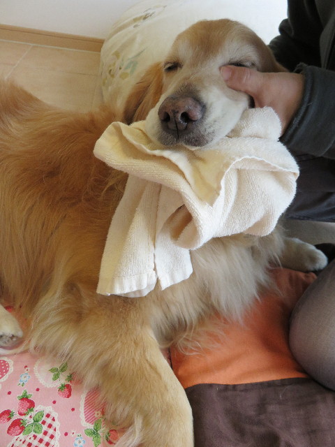 ファイル 4269-5.jpg