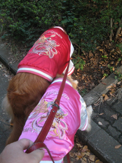 ファイル 427-1.jpg