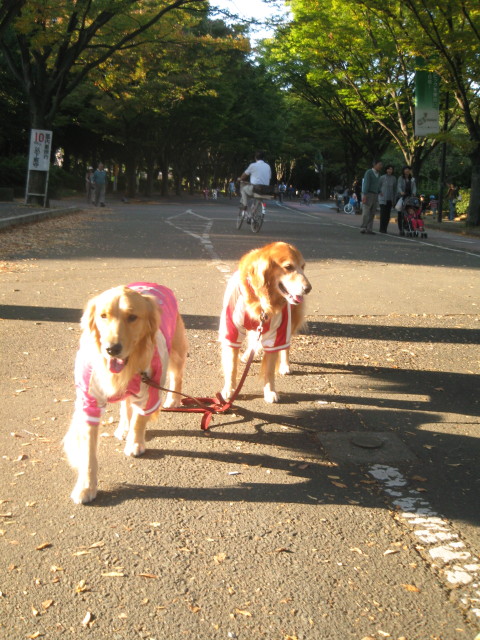 ファイル 427-2.jpg