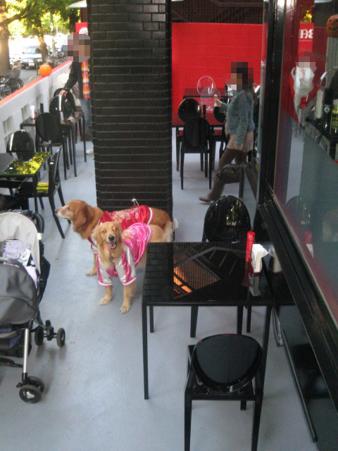 ファイル 427-3.jpg