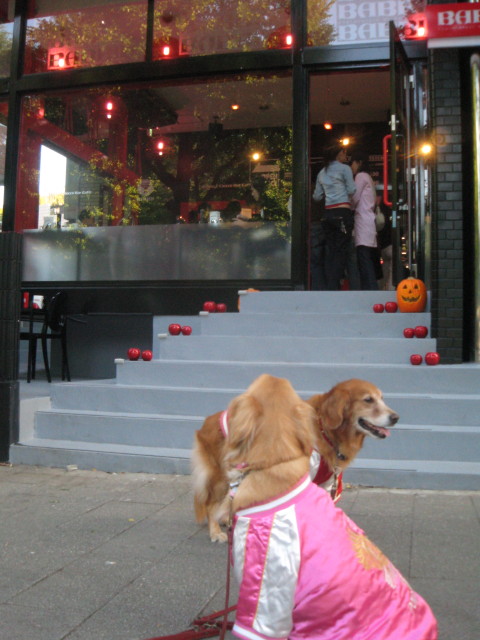 ファイル 427-4.jpg