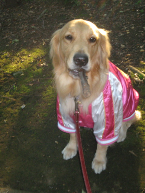 ファイル 427-5.jpg