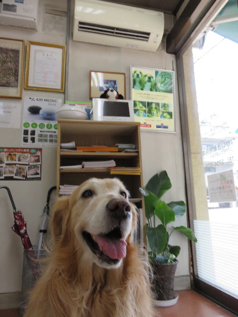 ファイル 4270-3.jpg