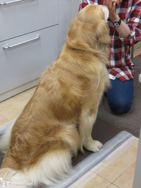 ファイル 4270-5.jpg