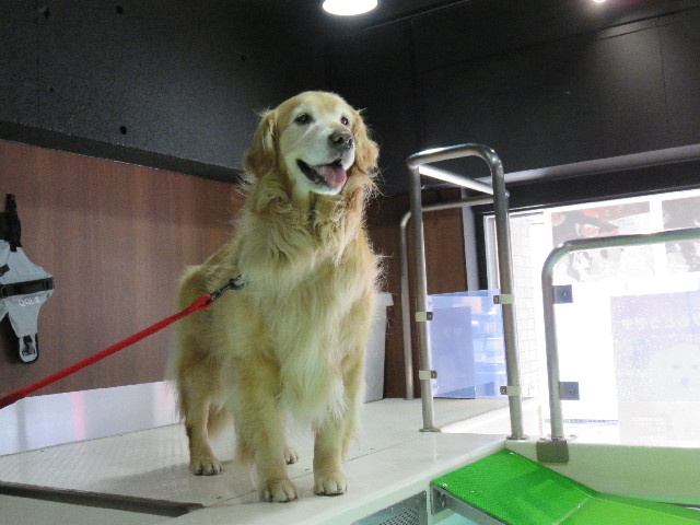 ファイル 4275-1.jpg