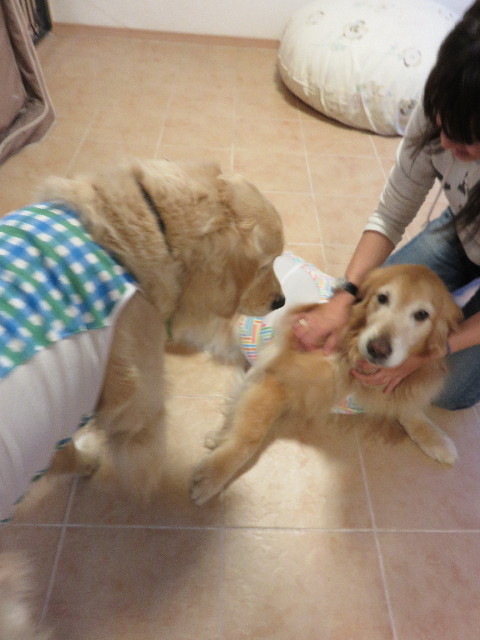 ファイル 4276-4.jpg