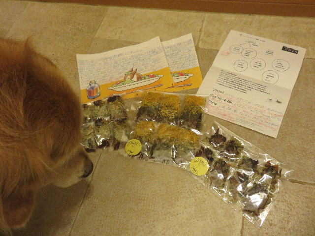 ファイル 4279-5.jpg