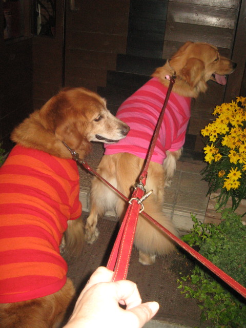 ファイル 428-1.jpg