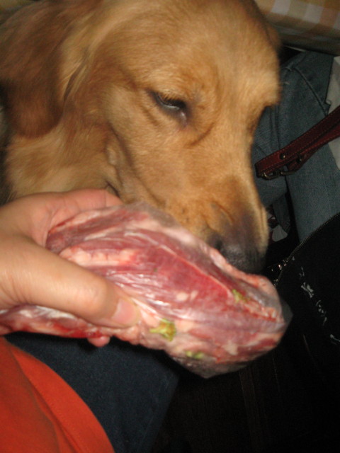 ファイル 428-4.jpg