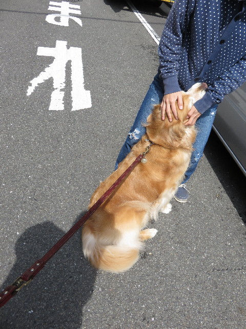 ファイル 4281-4.jpg