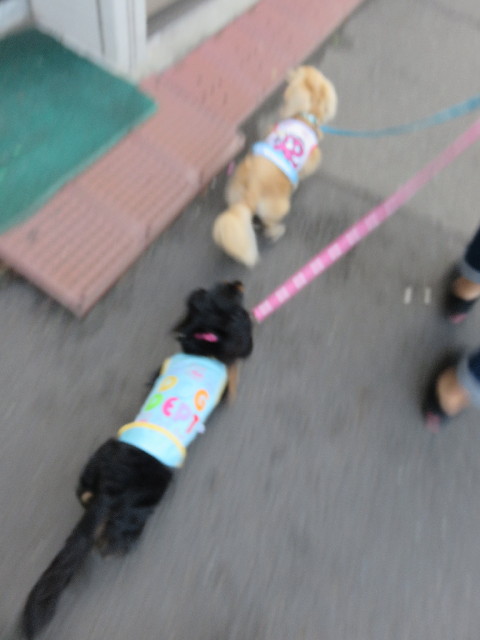 ファイル 4286-2.jpg