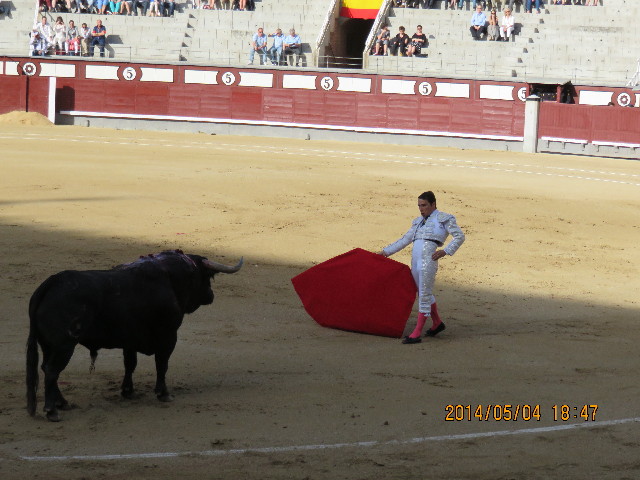 ファイル 4290-3.jpg