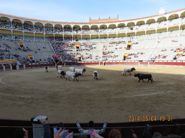 ファイル 4290-4.jpg