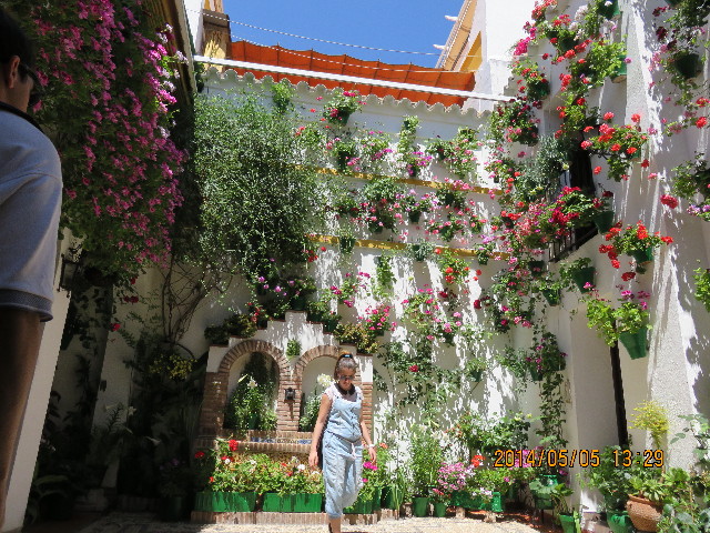 ファイル 4294-4.jpg