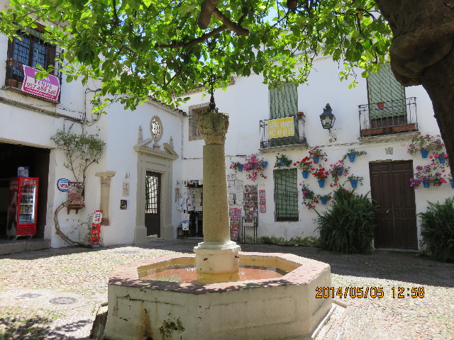 ファイル 4295-1.jpg