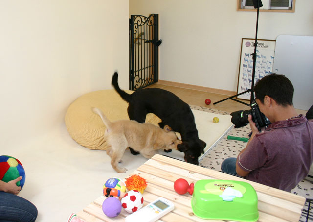 ファイル 43-1.jpg