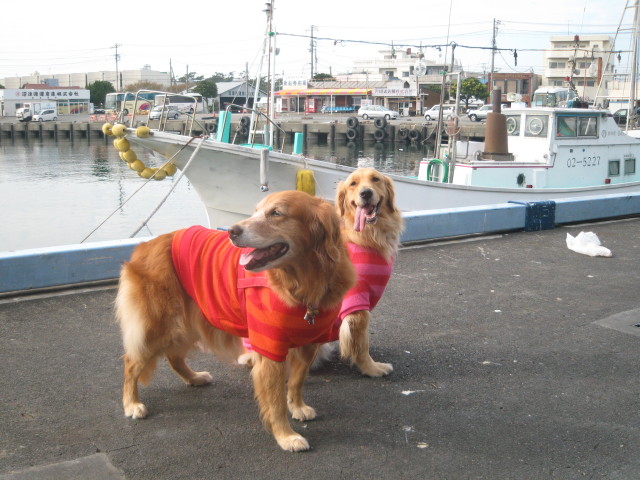 ファイル 430-2.jpg