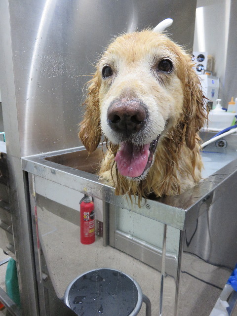 ファイル 4303-4.jpg