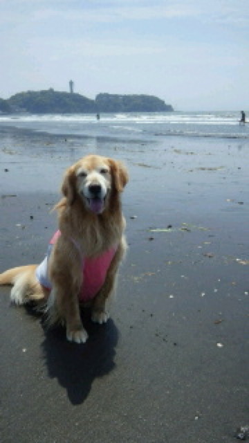 ファイル 4305-5.jpg